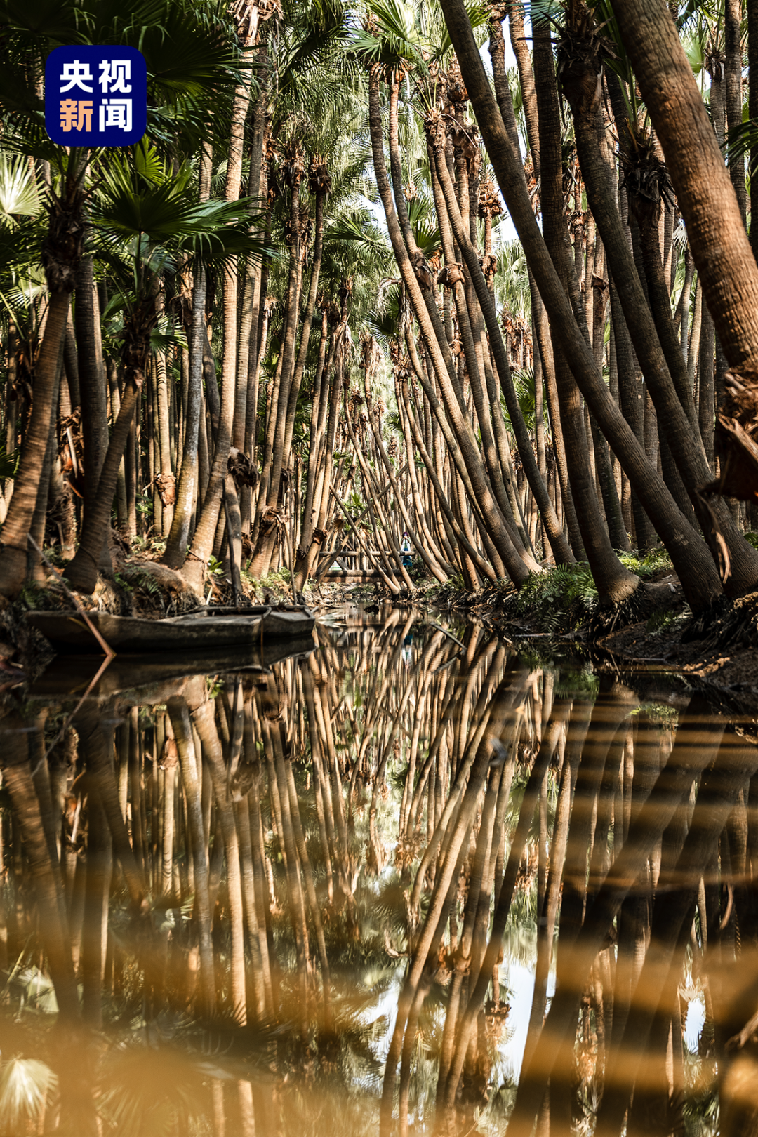 640?wx_fmt=png&from=appmsg