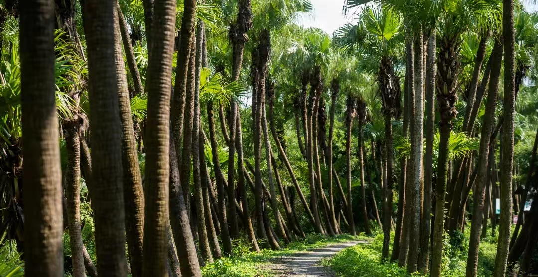 640?wx_fmt=png&from=appmsg