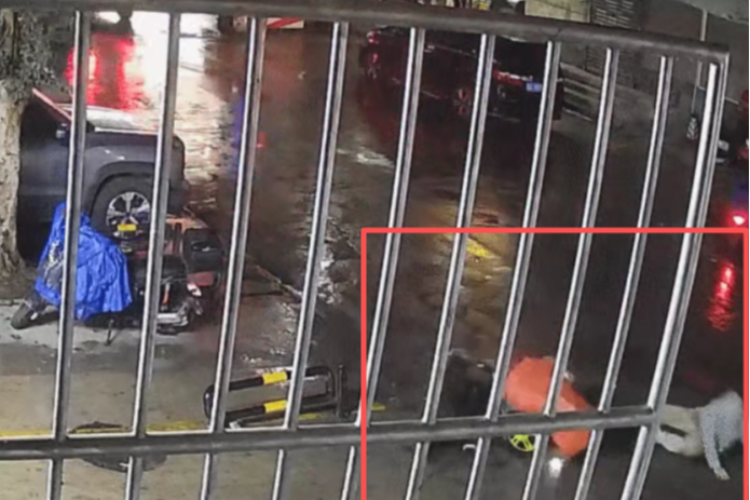 东莞无牌共享电动自行车失控撞死路人，投放车辆企业被追责