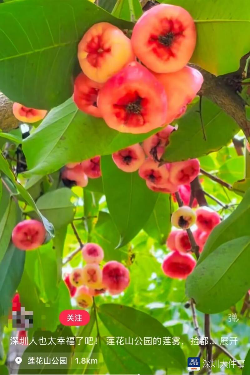 imagefile 图片