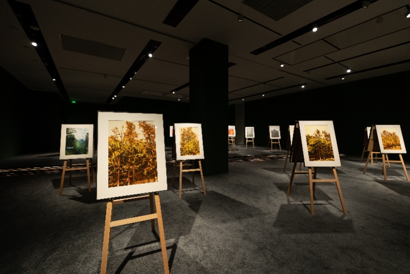 imagefile 图片