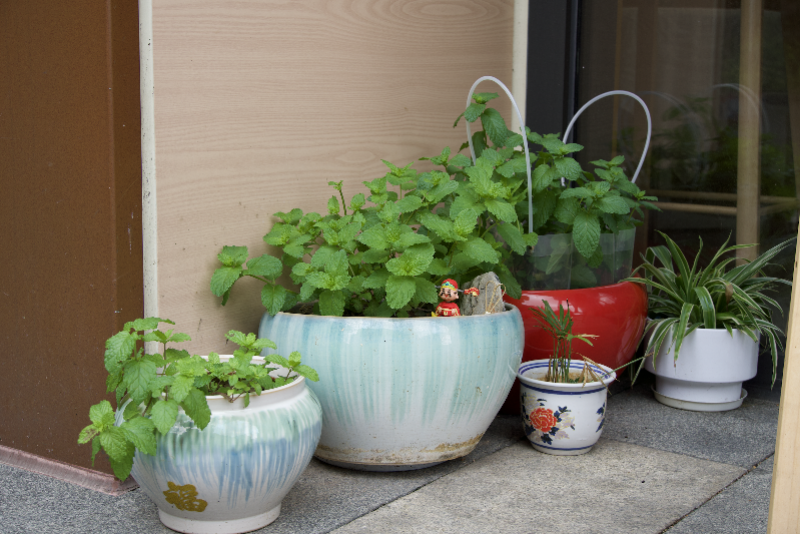 imagefile 800x534_6a1a79667d215.png?X-Amz-Content-