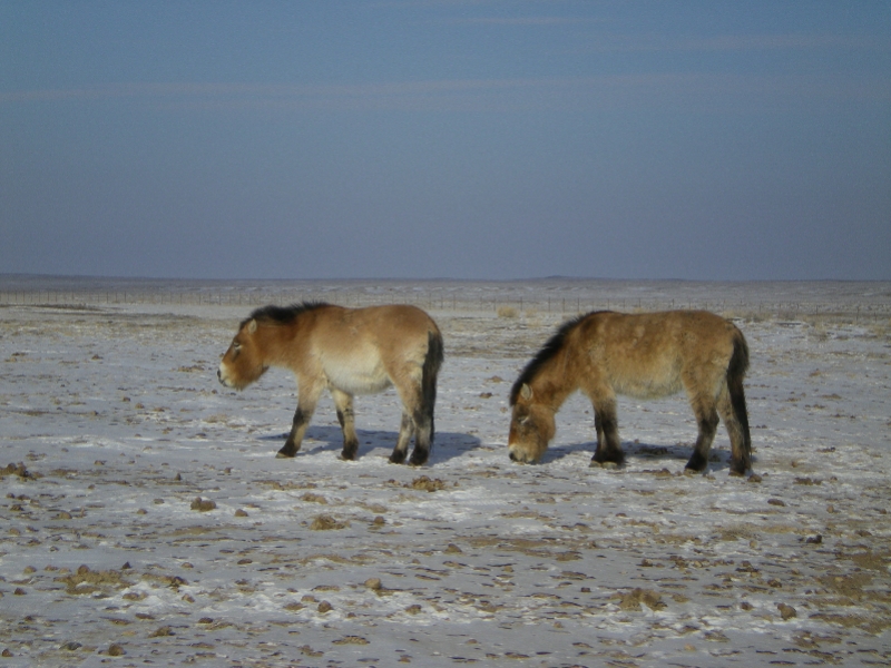 imagefile 图片