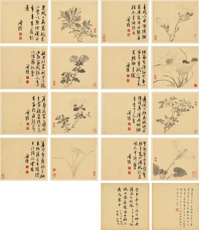 imagefile 图片