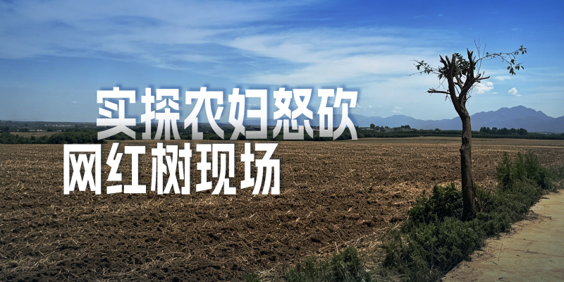 专题头图