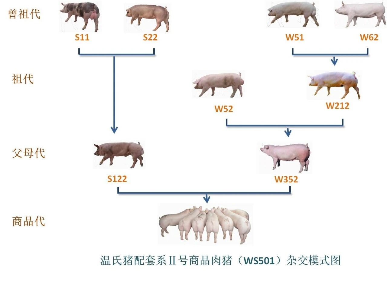 0?wx_fmt=jpeg&from=appmsg