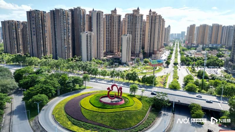 图片图片 图片