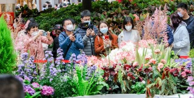 008cd78c-05e7-405c-b66f-82e9b0a09175