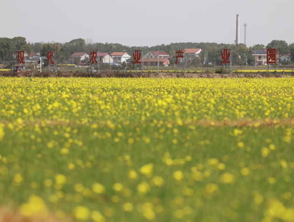 1094b26f-0f02-41b7-a4e6-1a12b83f1799