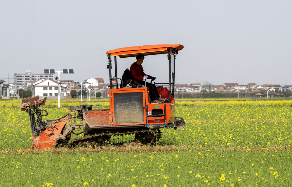 18b2a8b2-3a21-4786-8272-3dee49acdf7a