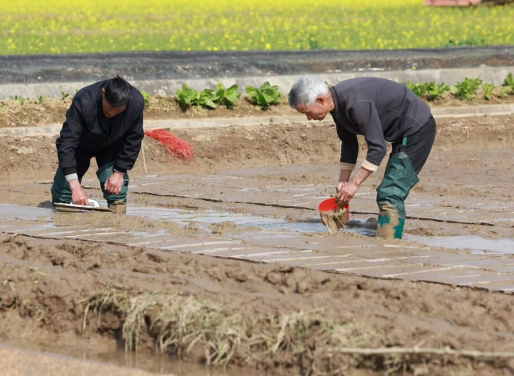 278c8176-a681-4fe4-9417-92363a78bf56