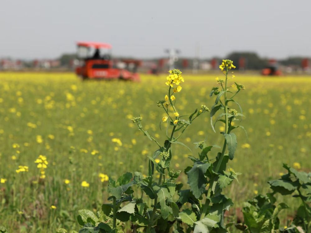 3378a91b-f0c9-4d15-859d-2a50d8c56a22