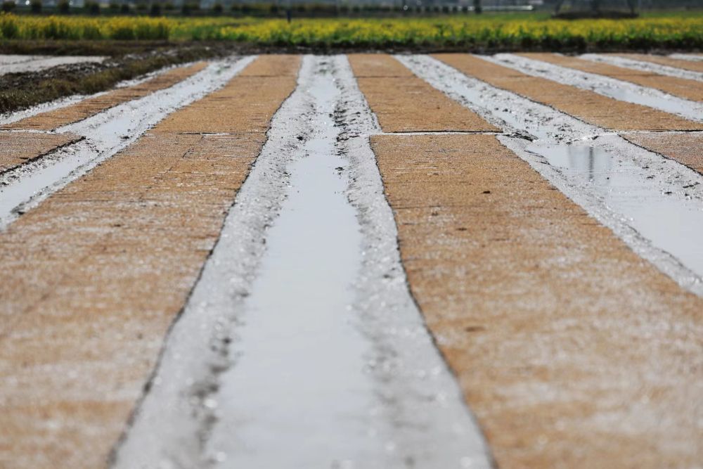 33ce061a-1b3e-4e8b-b28a-d241759369a8