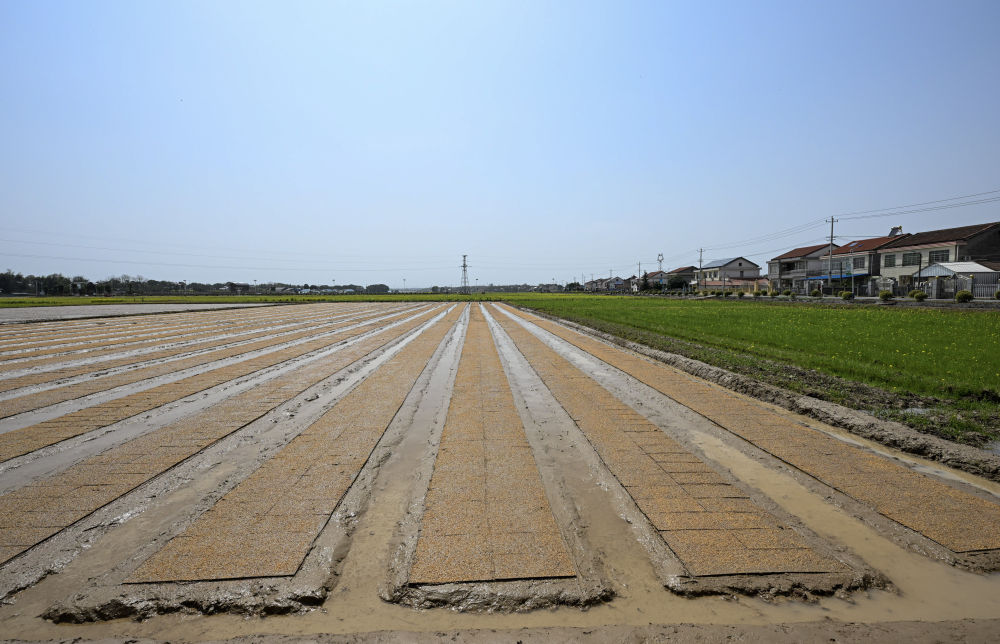 3ff6d904-e008-4884-8e51-b5fa817cbb2e