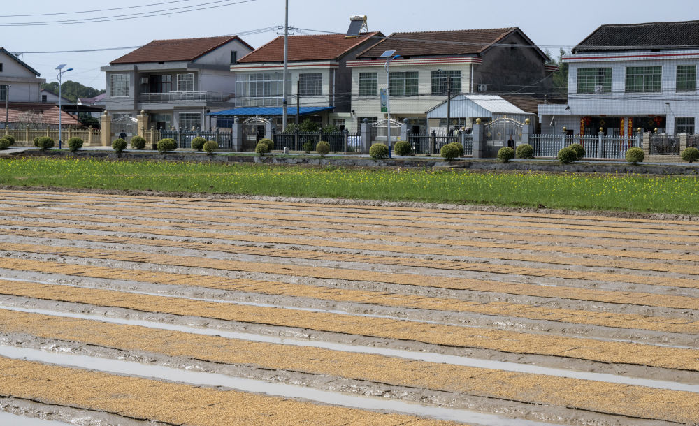 af553c70-6271-4f8c-b918-7b0039d8e0b4