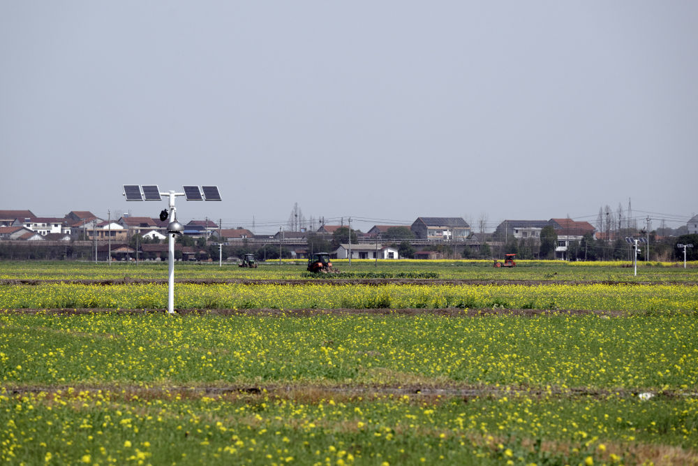 ee974604-1e70-43ad-ae53-dfbddc478a2d