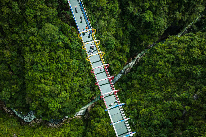 d01c9471-488b-4b66-87fc-eb3d005513e1