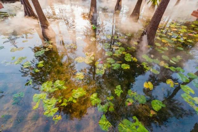 692fb88b-9e74-4d7e-b598-c6143dd276a9