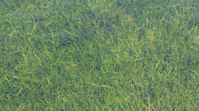 82cffc4f-005d-4e6b-83aa-e0fd9dda63bf