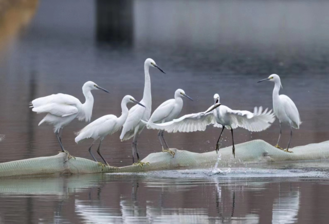 82ed505a-b212-4b70-ae23-331d4f252340