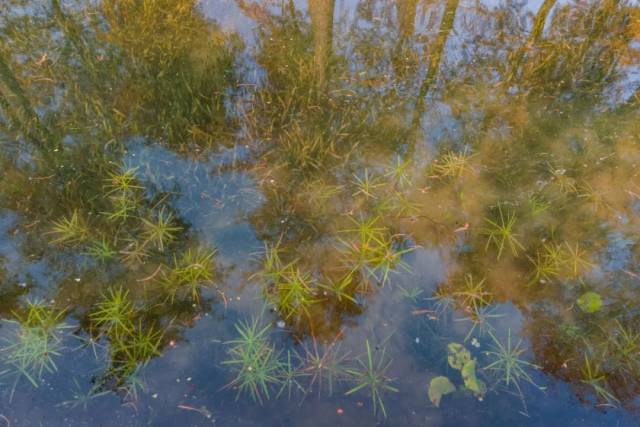 89387576-6bbb-4f46-a270-372bd9255e25