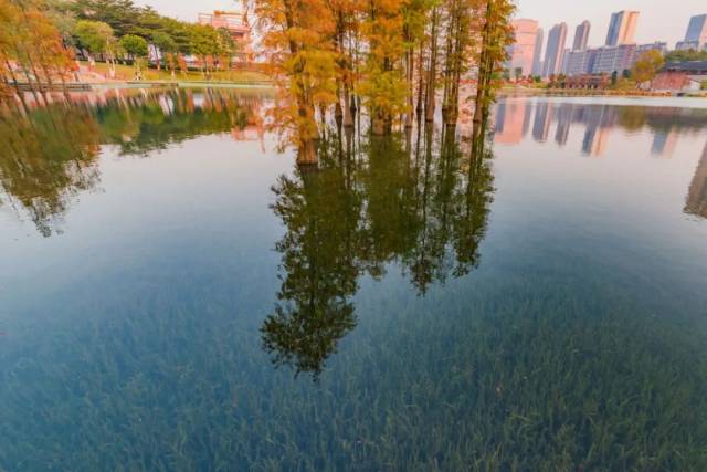 a4cd7afb-a2f0-4d8a-84ff-ea708d28c45f