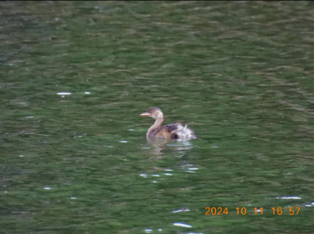 bbdbc193-3254-45d8-bca4-a122cad44e73