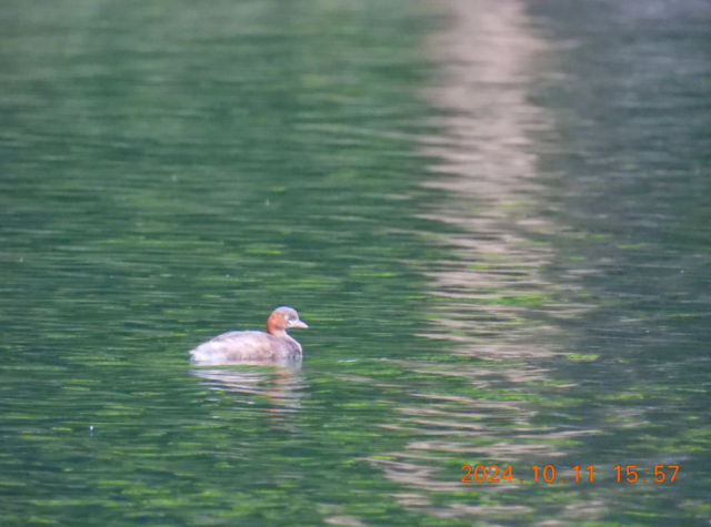 eecef27a-1ec7-41fe-ba19-4eac4a8c3407