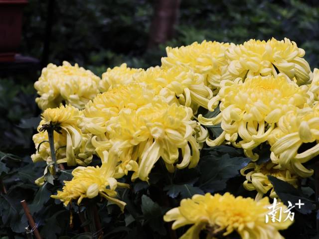 21f24602-5999-4649-b8fe-288640fe75f8