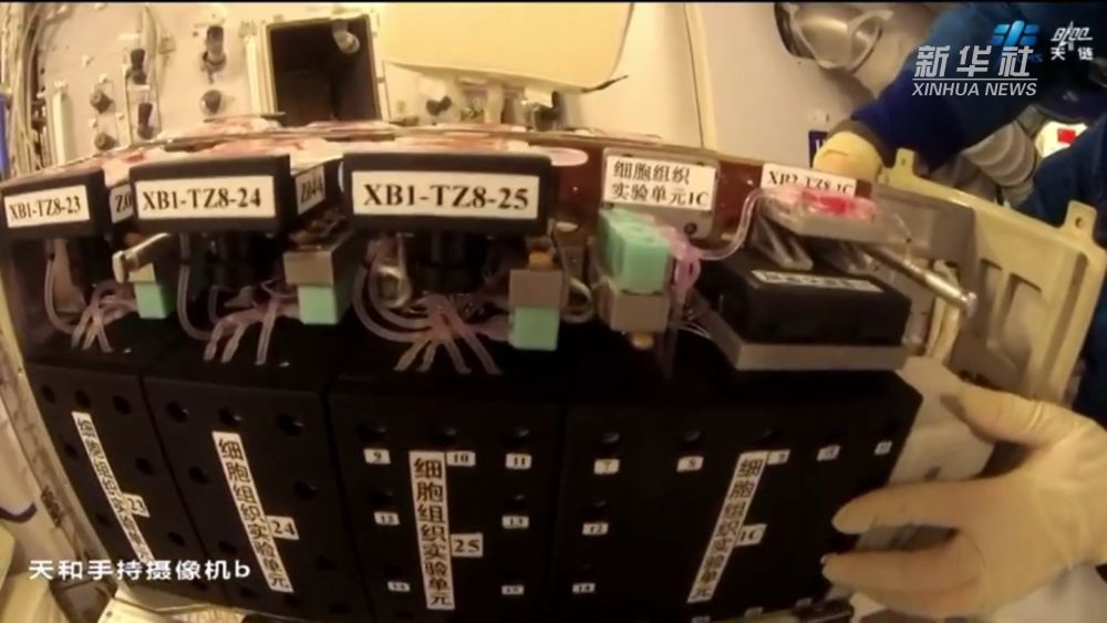 454cfcd9-b5f4-4382-84e7-71c4d157d9de