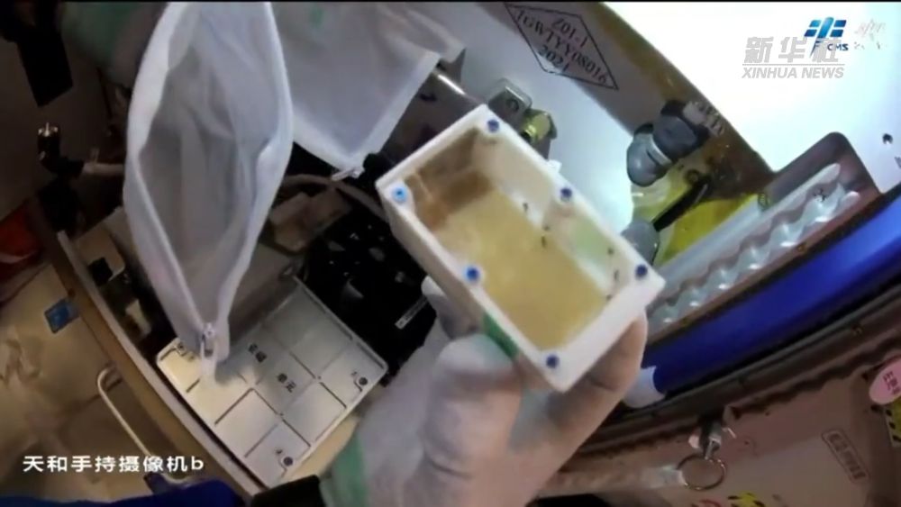 72b1f0c8-f8fc-4143-8fb0-61668a82ced7