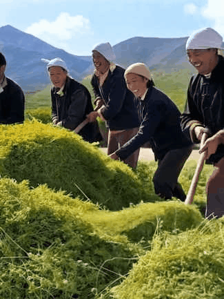 70013d12-426c-4724-bc92-560908c48ba5.GIF