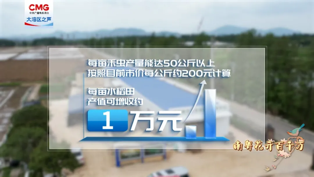 06aa4893-8aa1-462b-b059-e351392cb990