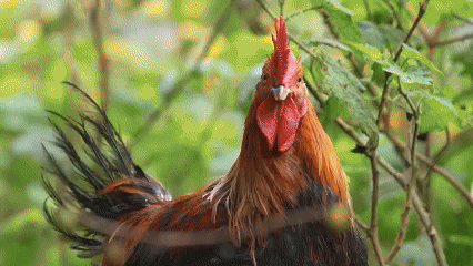 df0a65f4-0167-4020-b336-19e07b34f209