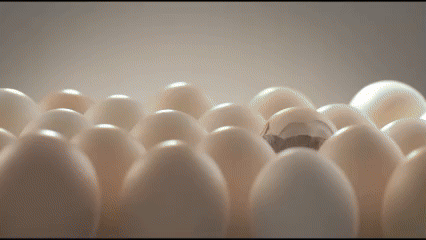 e39316f2-d137-42e4-ae55-9771c04b1b10