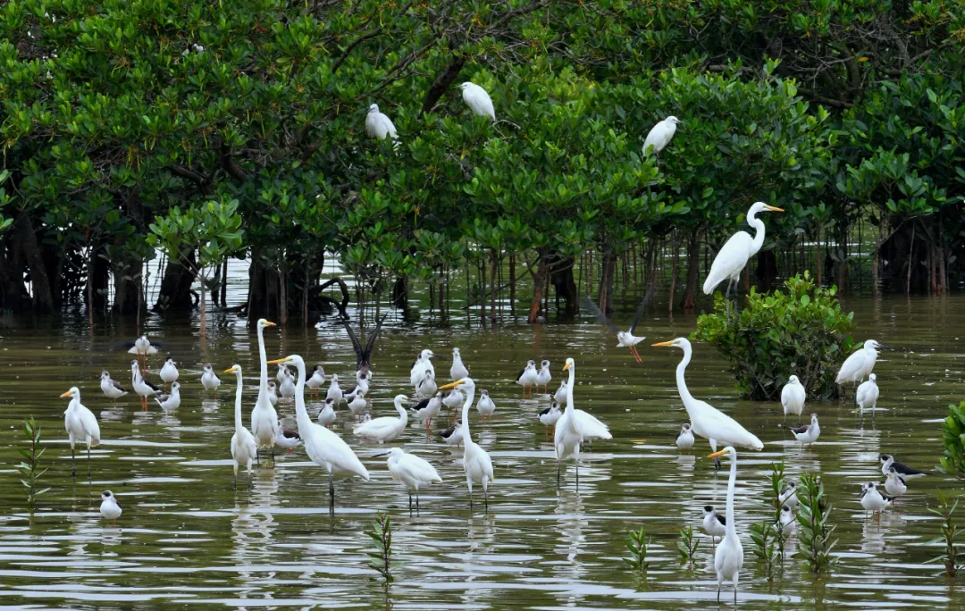 132b2664-a52a-4519-900a-097f7bda06cd?X-A