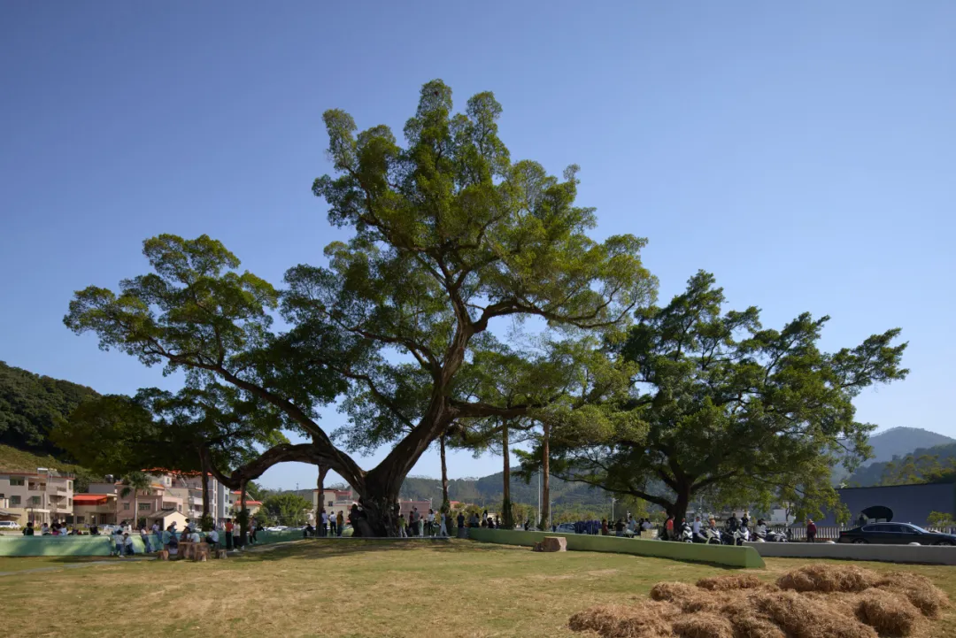 3a8c964e-e155-47cd-8afe-70366f1a23e6?X-A