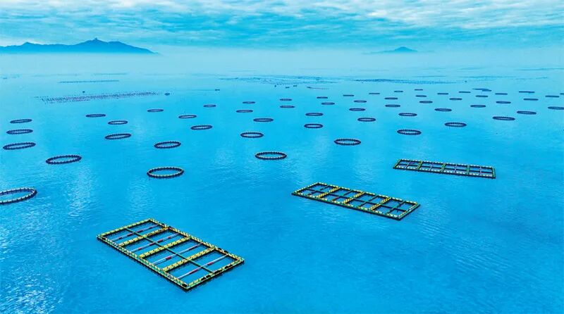 7ba04a1e-5ab4-46aa-a634-6475eee72042?X-A