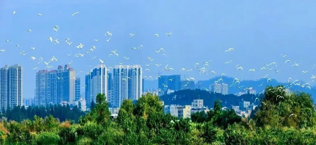 07f9f53a-ddaf-41c4-bac3-a9f9d3365f60?X-A