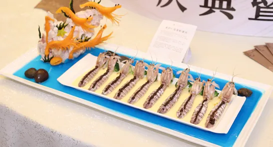 5641ad69-e26f-4ec2-a45a-9cb303bc3bb5?X-A