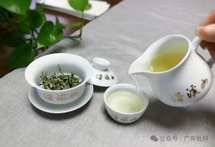 48746ab1-af91-4005-8842-3e7c0ad6487d?X-A