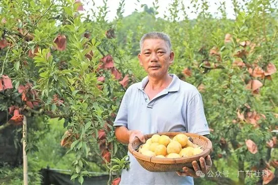 5aec8838-cac1-48ac-b653-9550e0ae527a?X-A