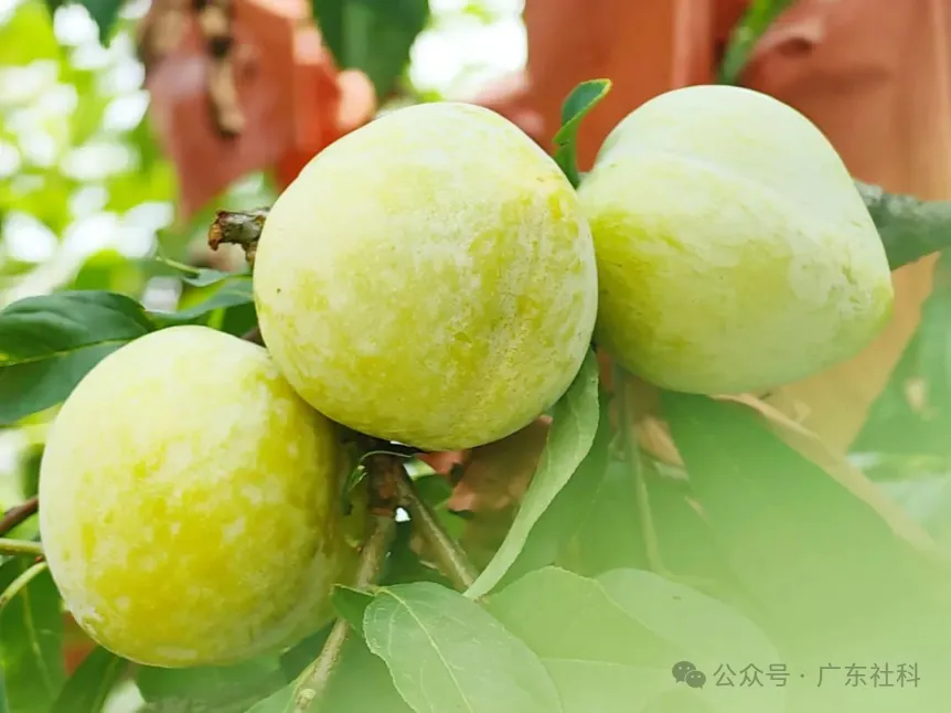 71c1930f-fe40-4fb8-9914-dee8f8c6ac97?X-A