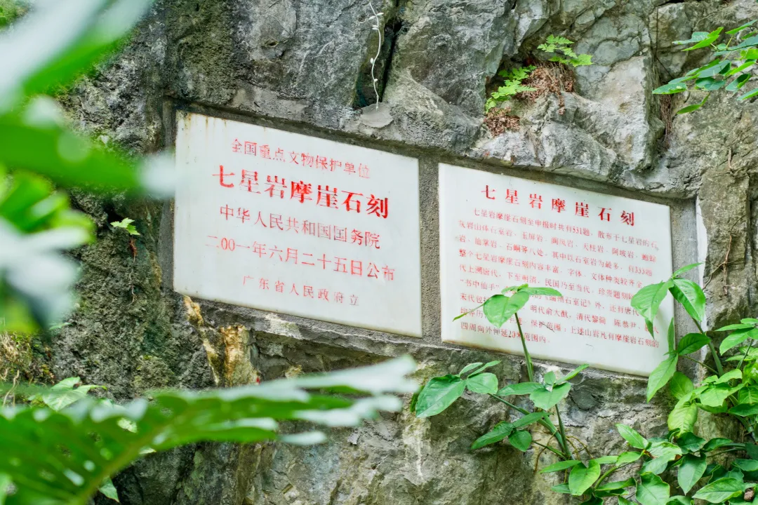 bfb78bbb-0cb4-4cbb-9f38-c03c70816fcd?X-A