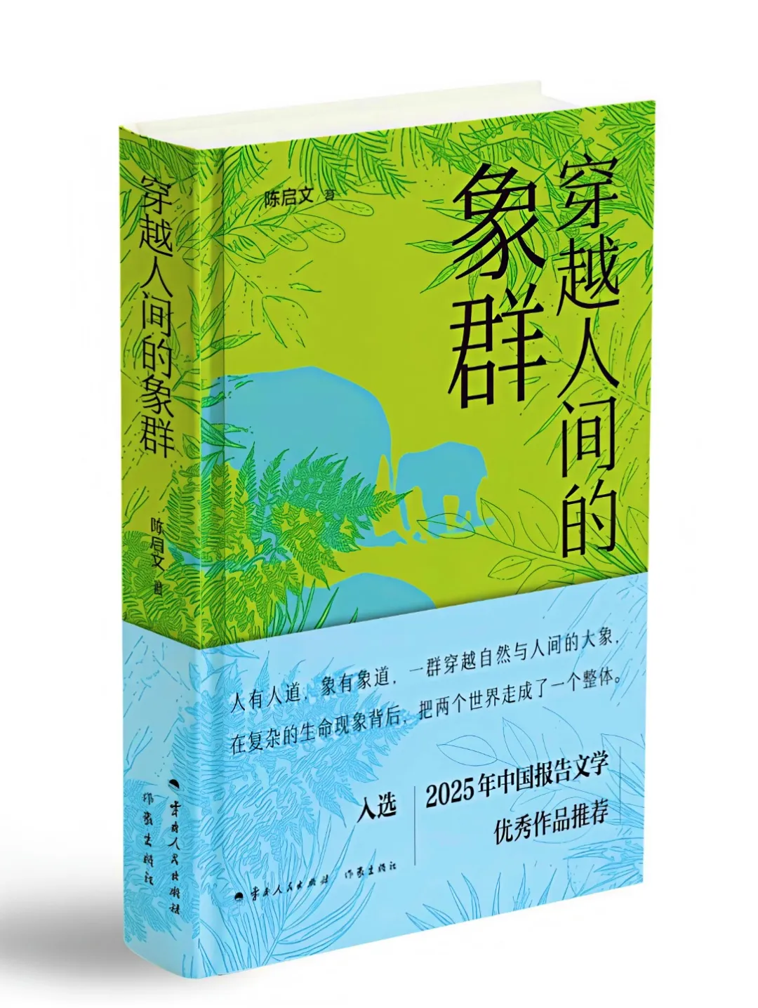 f582e2f3-db27-463f-be4d-fcb9e0235759?X-A