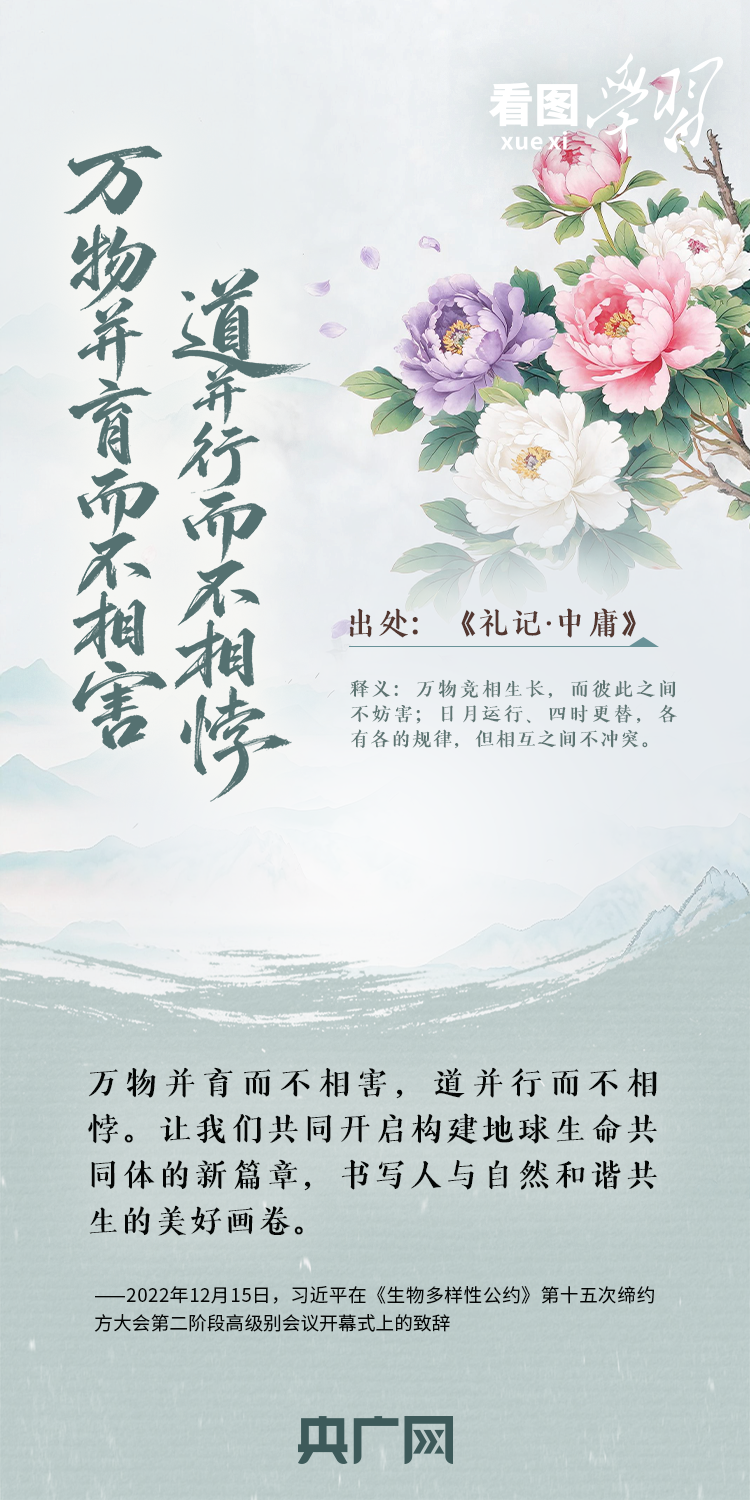 5a4aaad9-2a8c-461a-ac3d-d1202965c39a.50?